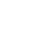 Super T’s Mast Cell Foundation Logo